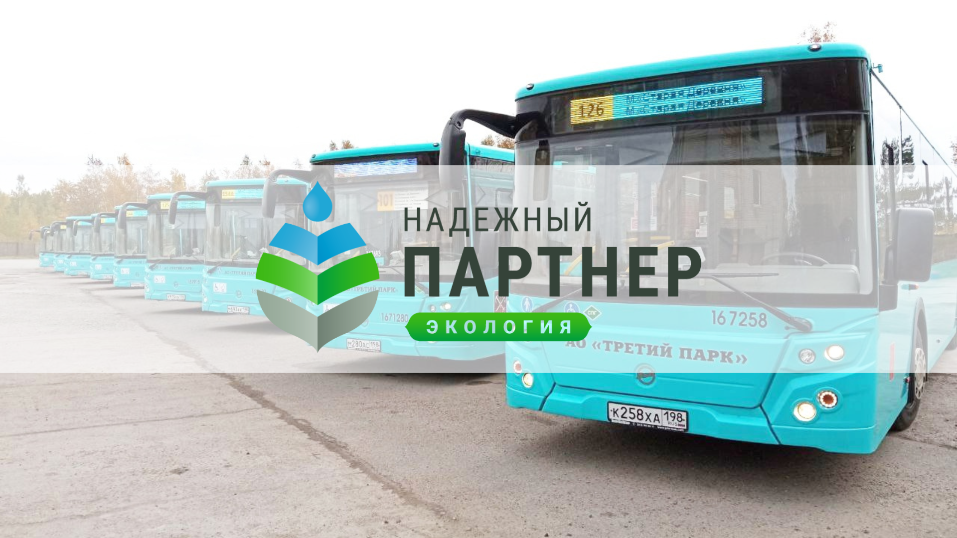 Голосуйте за петербургский проект НМТО на всероссийском конкурсе «Надежный партнёр — экология»!